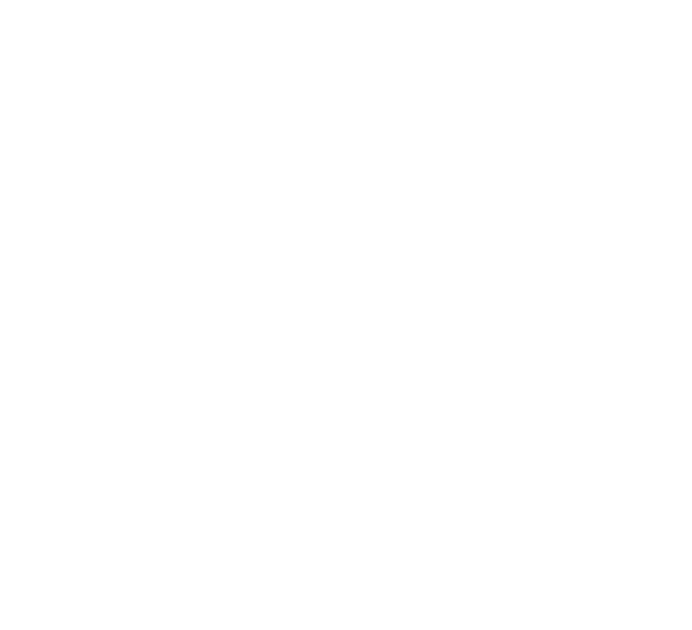 CONCERIA MASINI S.p.A.